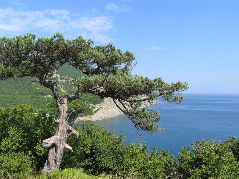 Утриш и Абрау: море и вино, фото 2